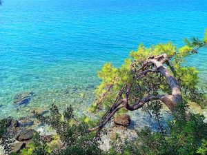 Turnalı Boncuk Koyu, Muğla'nın Ula ilçesine bağlı Akyaka Mahallesi'nde bulunan bir koydur. Gökova Körfezi'nin güneybatısında yer alan koy, yaklaşık 1 kilometre uzunluğunda ve 500 metre genişliğindedir